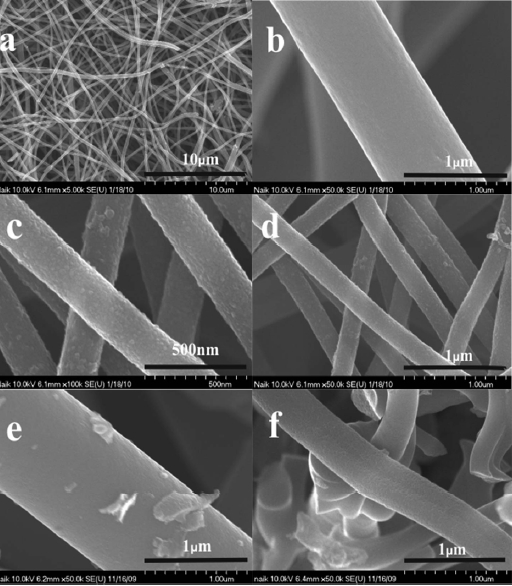 Field emission-scanning electron microscopy images of activated carbon nanofibers (CNFs) with or without metal additives: (a b) CNF (c d) CNF-Ti and (e f) CNF-Mn.