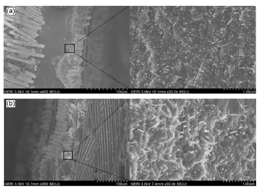 Scanning electron microscope images and magnified images of the fracture surfaces of (a) oxidized (b) silanized carbon nanotube/epoxy/basalt multi-scale composites