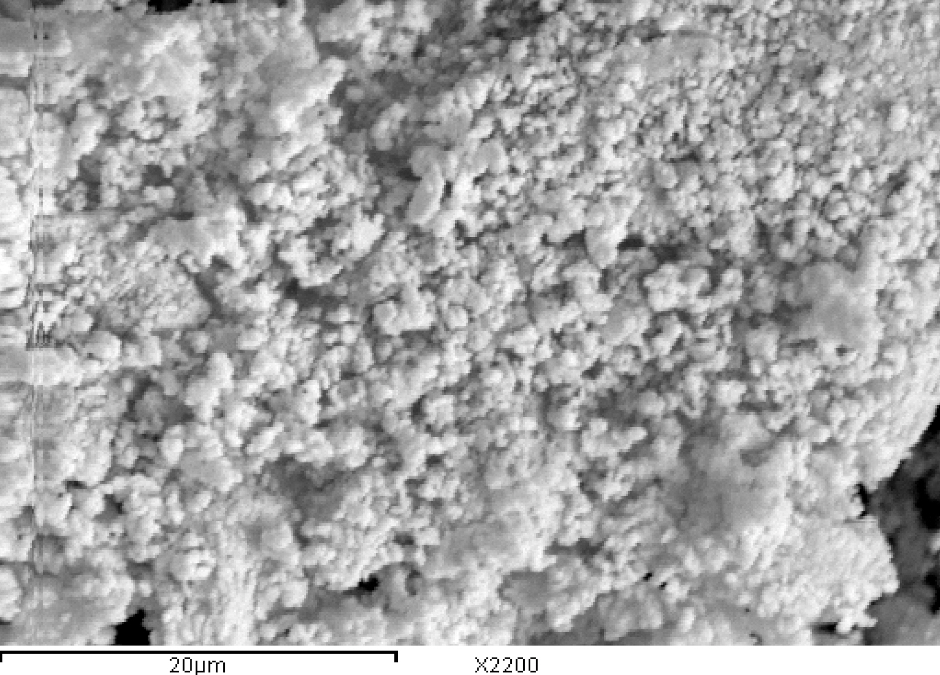 SEM micrographs of kaolin.