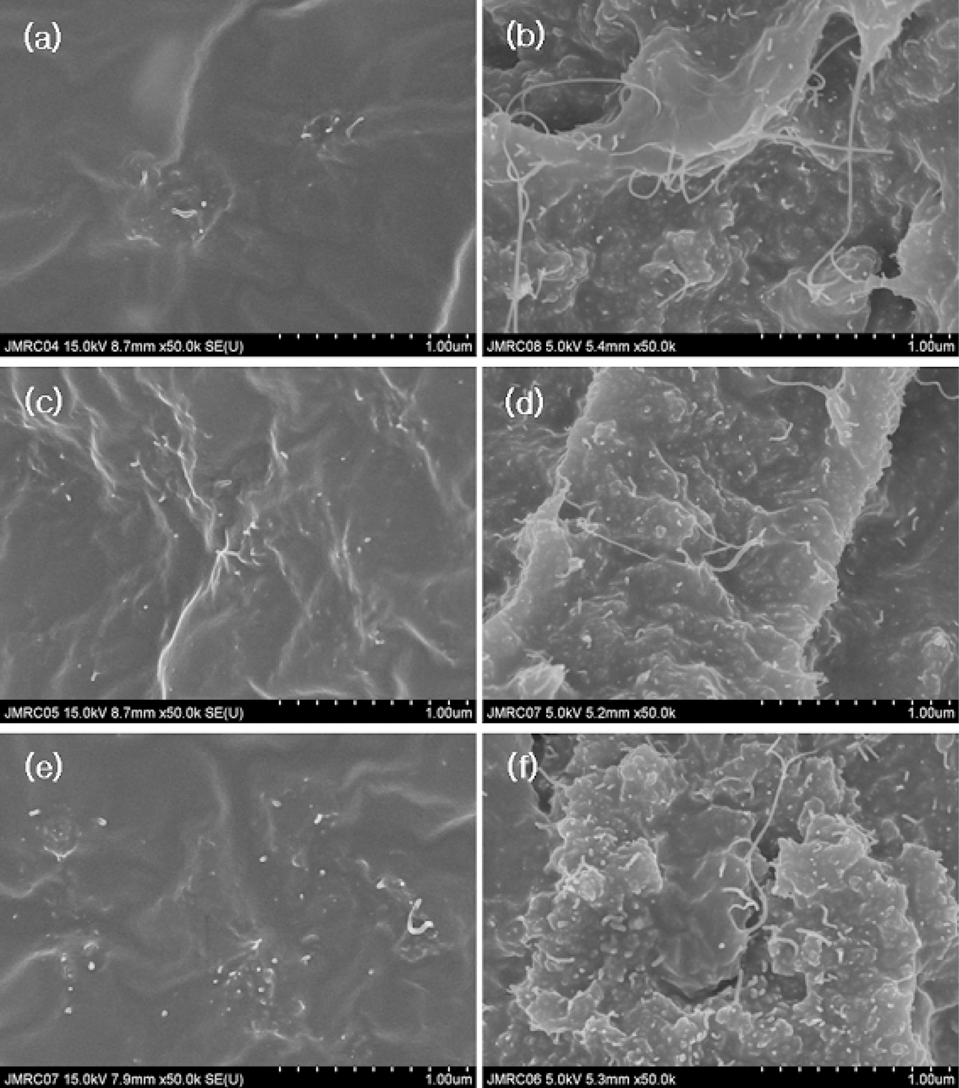 Images of SEM for CNTs/rubber nanocomposites with 3 phr(a c e) and 5 phr (b d f) of CNT-1(a b) CNT-2(c d) and CNT-3(e f).