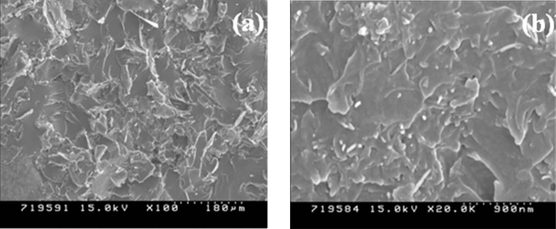SEM images of (a) GNs/epoxy and (b) 1 wt.% MWNTs/GNs/epoxy nanocomposites (2 wt.% GNs was fixed).
