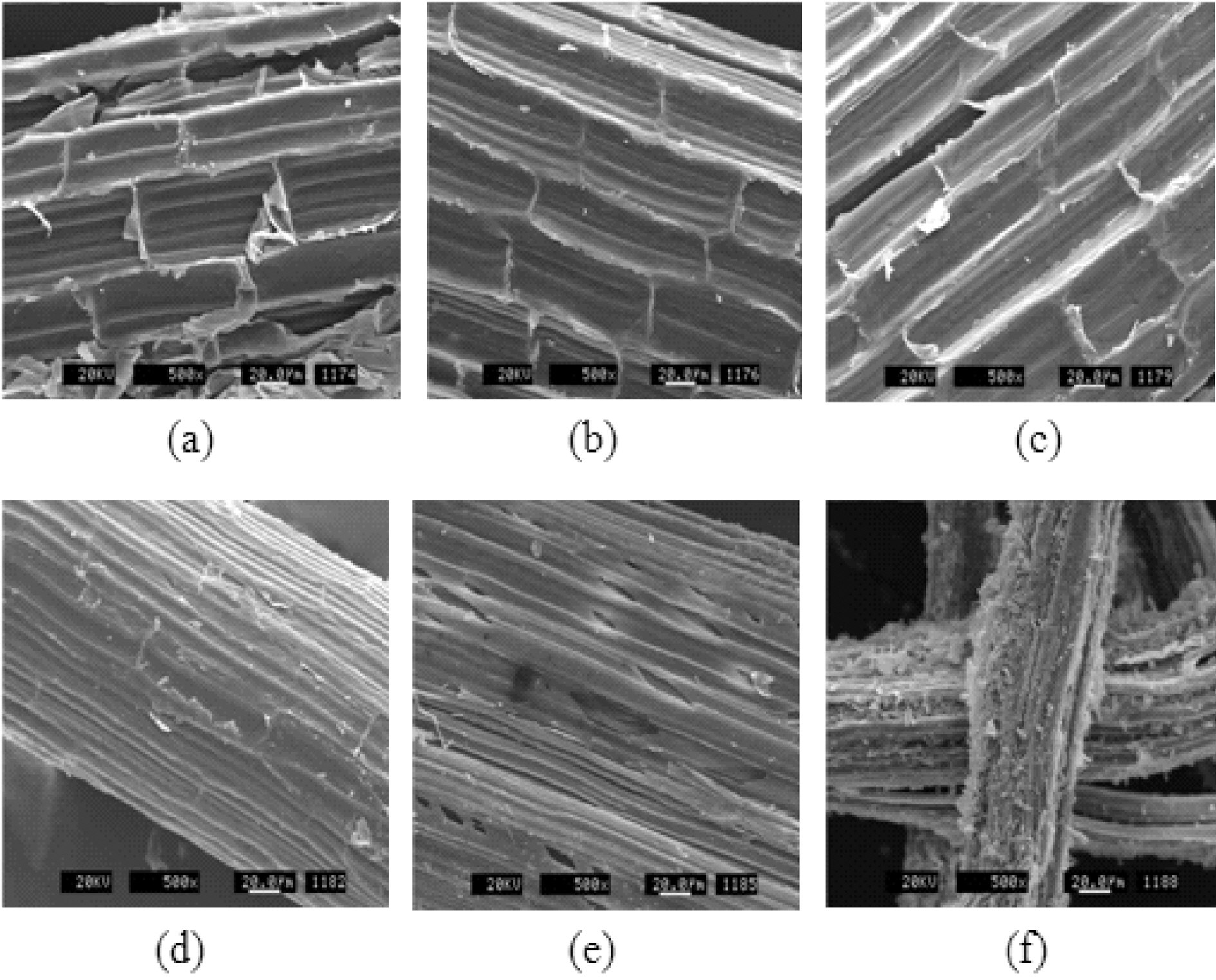SEM images of henequen fibers : (a) the as-receivedand stabilized at (b) 200 (c) 240 (d) 270 (e) 300 and (f) 400℃ in air.