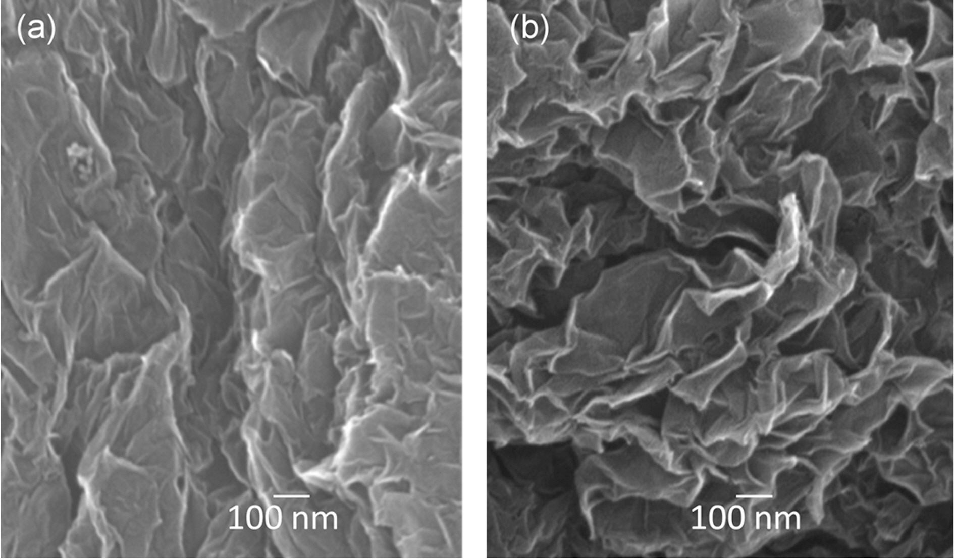 SEM images of (a) synthetic graphene powder and (b)natural graphene powder.