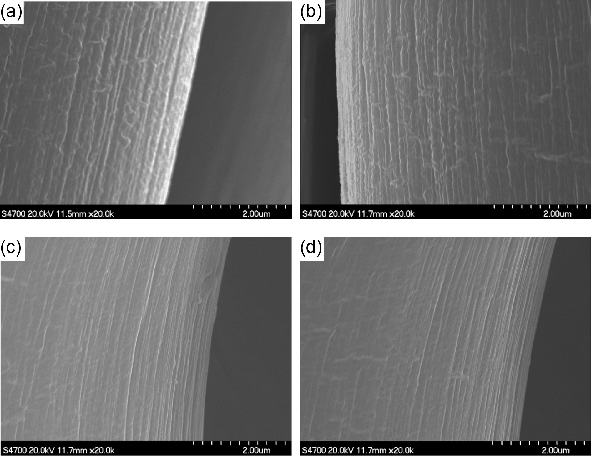 SEM micrographs of precursor fibers prepared by process 2 at different stretch ratio: stretch ratio of (a) 6  (b) 7 (c)8 and (d) 10.