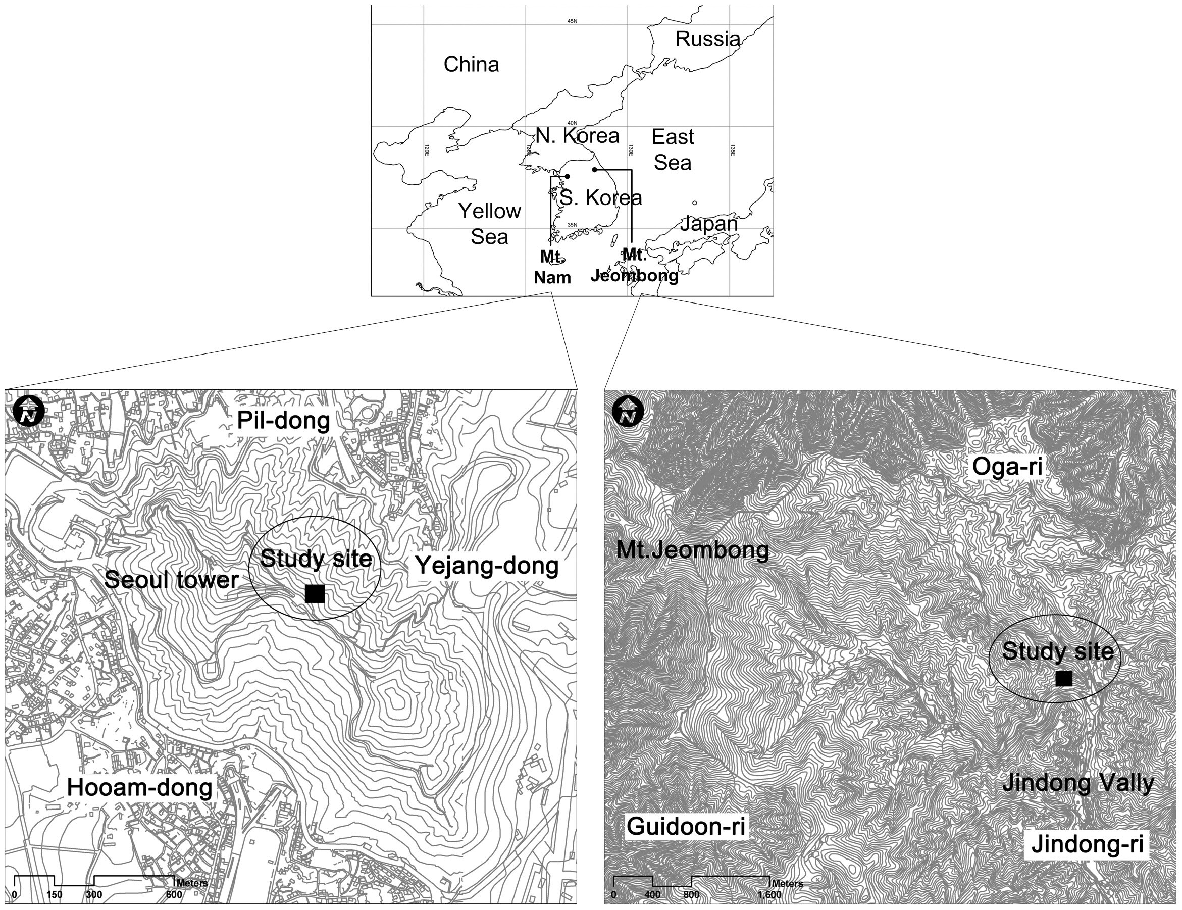 Physiognomic vegetation maps of Mts. Nam and Jeombong showing the location of study sites.