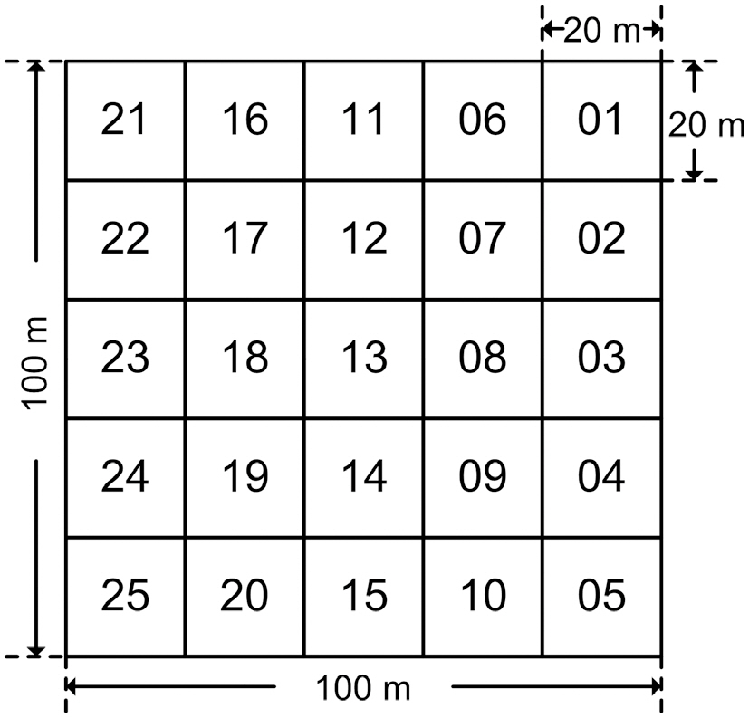 A configuration of a permanent quadrate. Numbers in subquadrates indicate the quadrate numbers installed in the study sites.