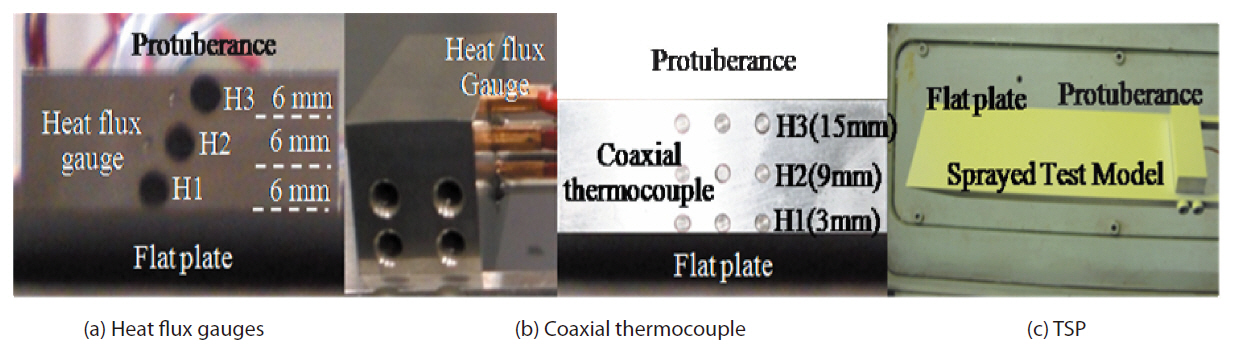 Heating measurement gauges installed test model. TSP: temperature sensitive paint.