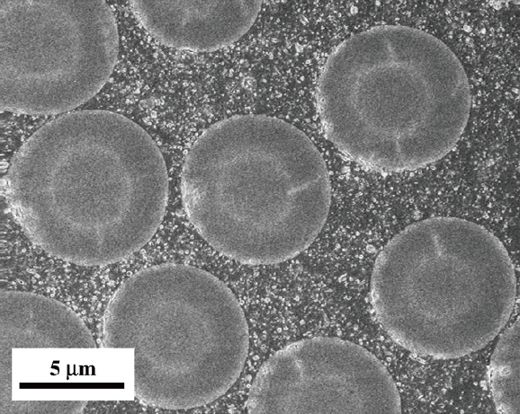 Scanning electron microscope micrograph of a multiscalecarbon nanotube-carbon fiber reinforced polymer composite(Yokozeki et al. 2007).