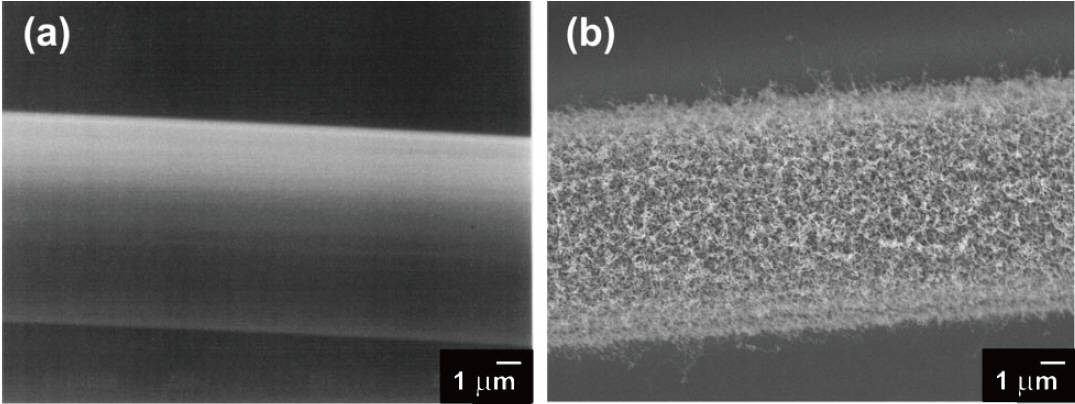 Scanning electron microscope micrographs of carbon fibers (a)before and (b) after carbon nanotube growth (Thostenson etal. 2002).