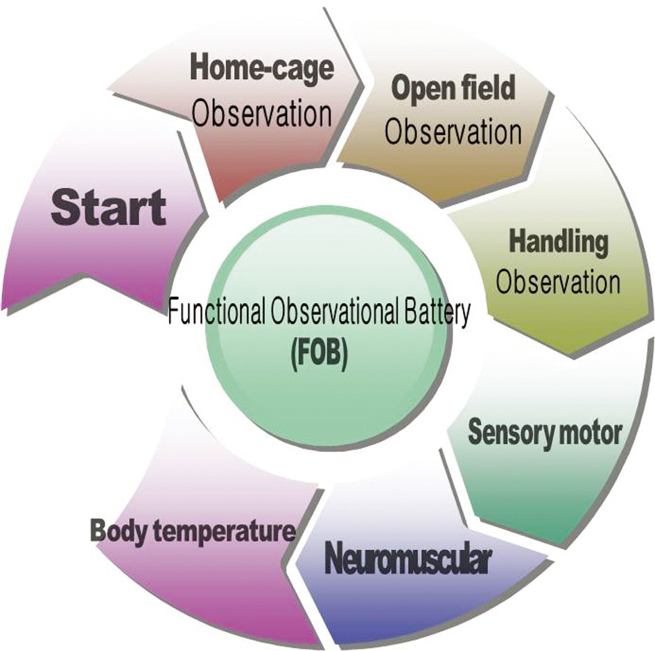 The process of functional observational battery(FOB)The sequence of observations in the FOB is consist of five parameter. The parameter is next follows; home cage observations home cage removal and handling open field activity sensorimotor reflex test/physiological measurements and observations throughout FOB.