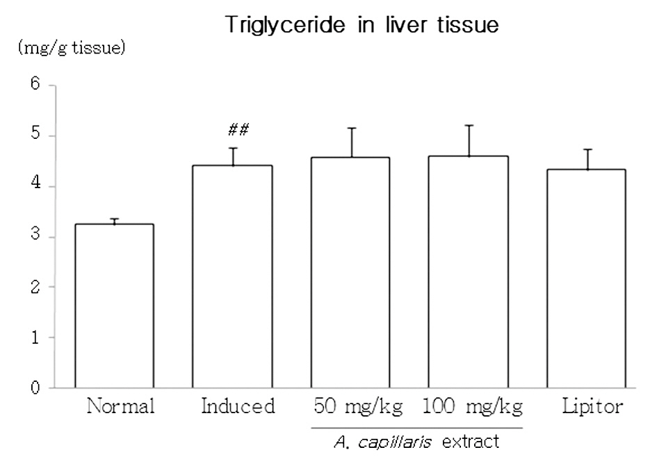 Triglyceride in liver tissue.