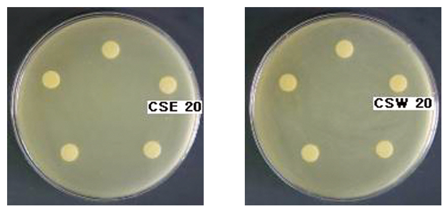 The Effects of Cuscutae Semen on Inhibition Zone Diameters for Propionibactrium acnes.