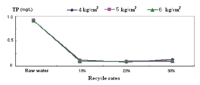 Recycle rate effects on the removal of TP with different ozonedissolving pressures.
