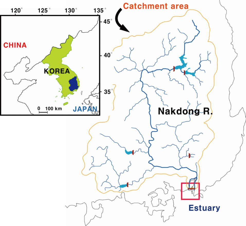 Site location in the Nakdong River.