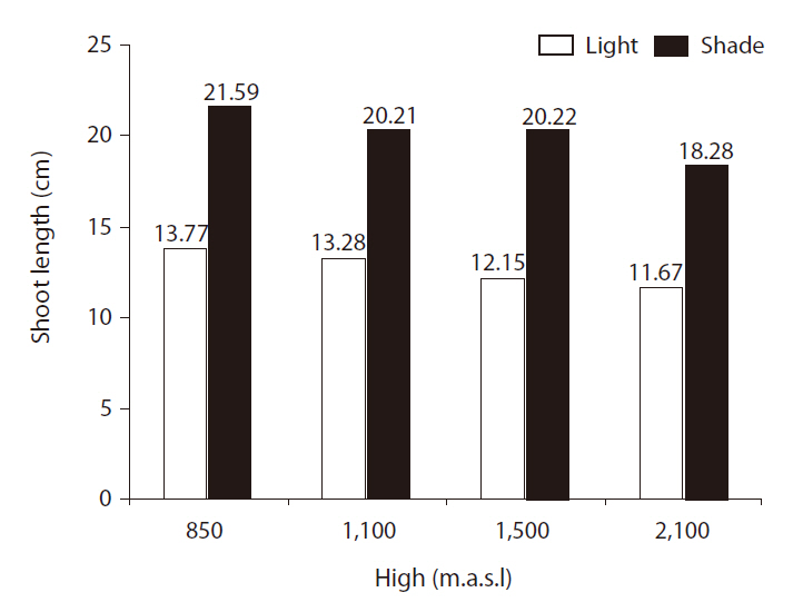 Shoot length of Quercus brantii L. as affected by seed source and light density.