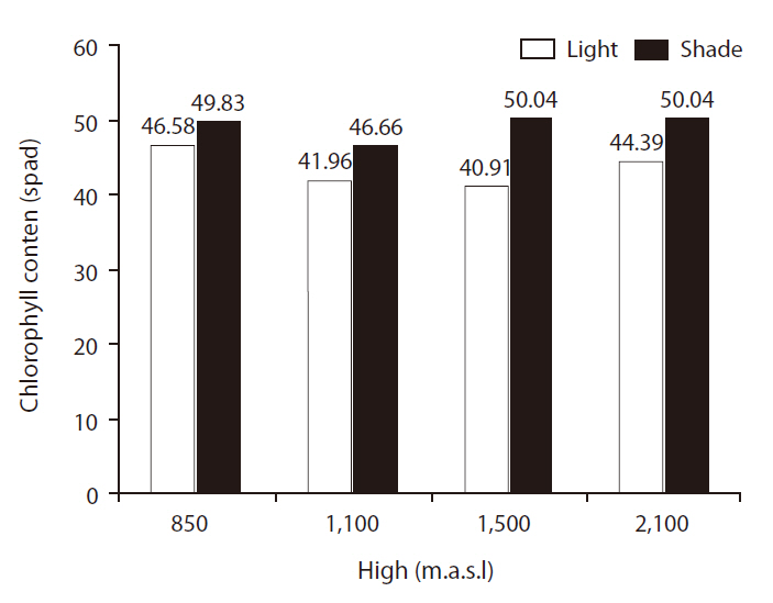 Chlorophyll content of Quercus brantii L. as affected by seed source and light density.