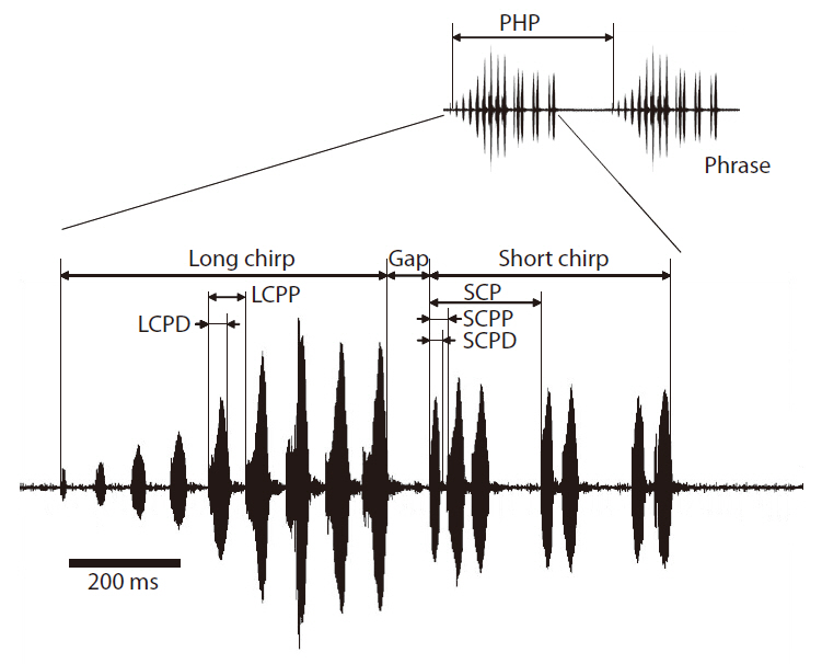 Oscillogram of a typical calling song of Teleogryllus emma. PHP phrase period; LCPP long chirp pulse period; LCPD long chirp pulse duration; SCP short chirp period; SCPP short chirp pulse period; SCPD short chirp pulse duration.