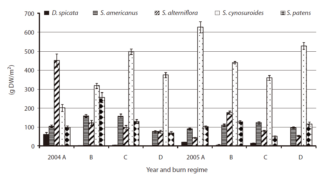 Total above-ground live biomass for each plant species by burn regime in 2004 and 2005. A = annual burn B = 3-5 year burn C = 7-10 year burn and D = control (no burn). Error bars represent ± 1 standard error. D. spicata Distichlis spicata; S. americanus Schoenoplectus americanus; S. alterniflora Spartan alterniflora; S. cynosuroides Spartina cynosuroides; S. patens Spartina patens.