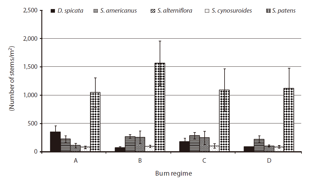 Mean stem density for each plant species by burn regime in the study (e.g. lumped data between 2004 and 2005). A = annual burn B = 3-5 year burn C = 7-10 year burn and D = control (no burn). Error bars represent ± 1 standard error. D. spicata Distichlis spicata; S. americanus Schoenoplectus americanus; S. alterniflora Spartina alterniflora; S. cynosuroides Spartina cynosuroides; S. patens Spartina patens