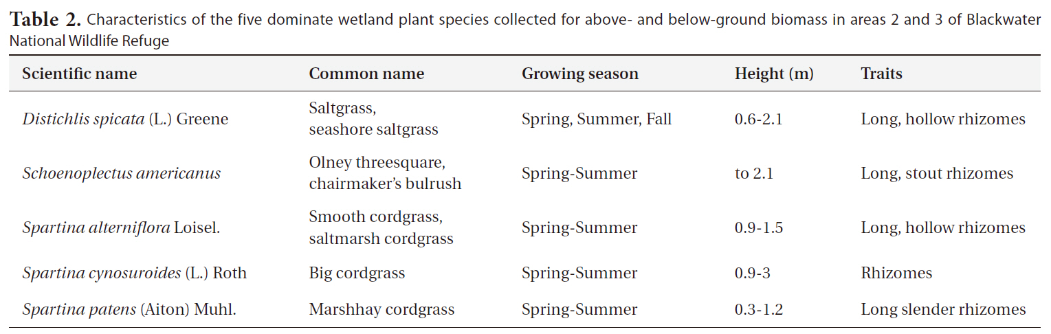 Characteristics of the five dominate wetland plant species collected for above- and below-ground biomass in areas 2 and 3 of Blackwater National Wildlife Refuge