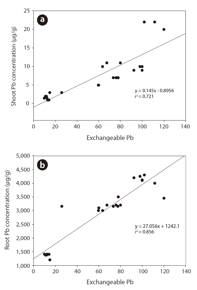Correlation between soil exchangeable Pb concentrations and shoot Pb concentration (a) and root Pb concentration (b).