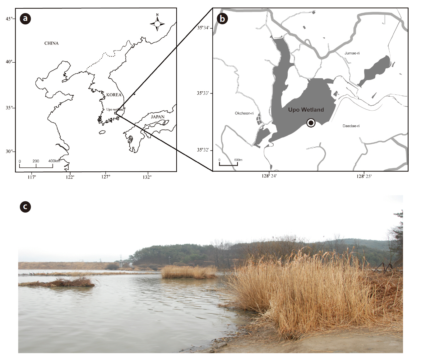 Study site in the Upo wetland. (a) Map of Korea with sampling site indicated. (b) Map of Upo swamp area. Circled dot: site where soil samples were collected. (c) Overview of the study site.