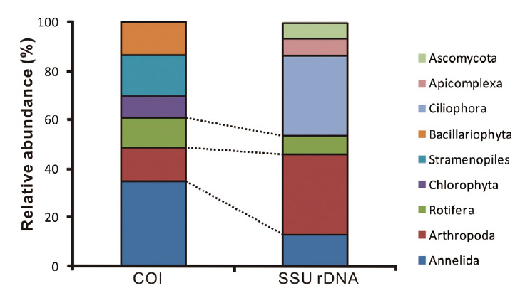 Proportion of groups identified using cytochrome oxidase I (COI) marker and small subunit ribosomal rDNA (SSU rDNA) markers.