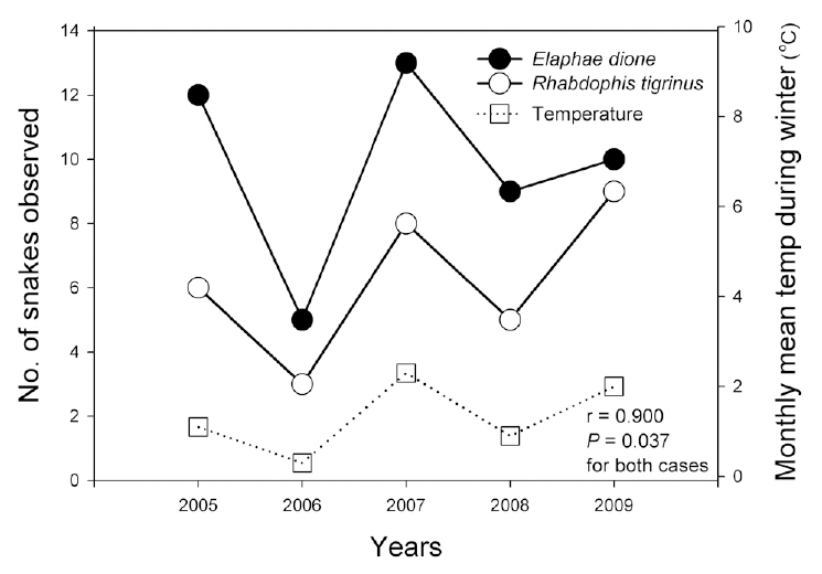 Relationships of the number of  Dione’s ratsnake (Elaphe dione) and Korean tiger keelback snake (Rhabdophis tigrinus) to monthly mean temperature during winter in Woraksan National Park.