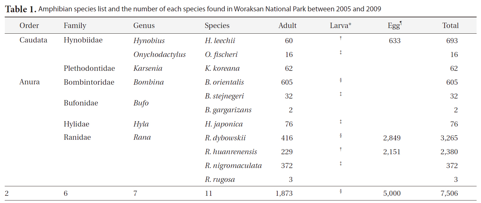 Amphibian species list and the number of each species found in Woraksan National Park between 2005 and 2009
