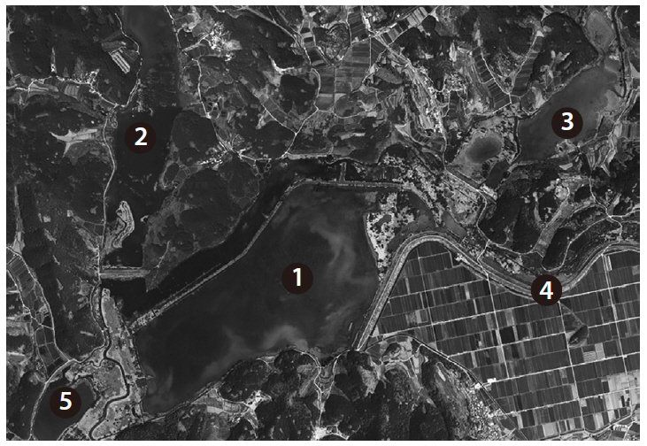 View of Upo Wetland and its four reservoirs: 1 Upo; 2 Mokpo; 3 Sajipo; 4 Topyung stream; 5 Jjokjibeol.