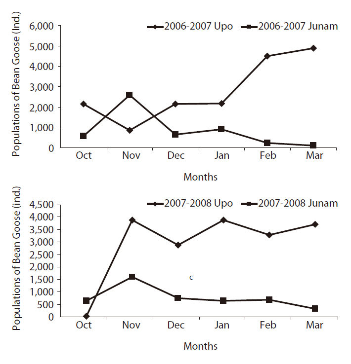 Comparison of wintering individuals of Bean Goose between the Upo Wetland and the Junam Reservoir in winter from 2006 to 2008.