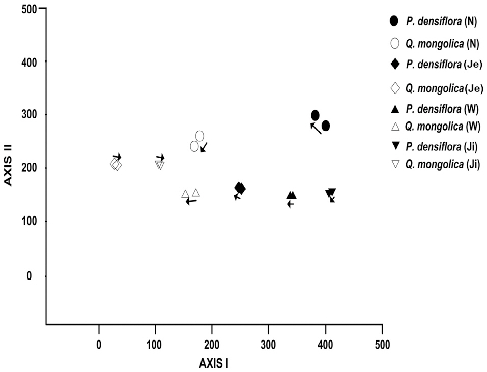 The change in the vegetation composition of each forest type in KNLTER sites assessed via DCA ordination. The beginning of the arrows in diagram indicate the 2004 data. KNLTER Korean National Long Term Ecological Research; DCA detrended correspondence analysis; N Mt. Nam; Ju Mt. Jeombong; W Mt. Worak; Ji Mt. Jiri; P. densiflora Pinus densiflora; Q. mongolica Quercus mongolica.