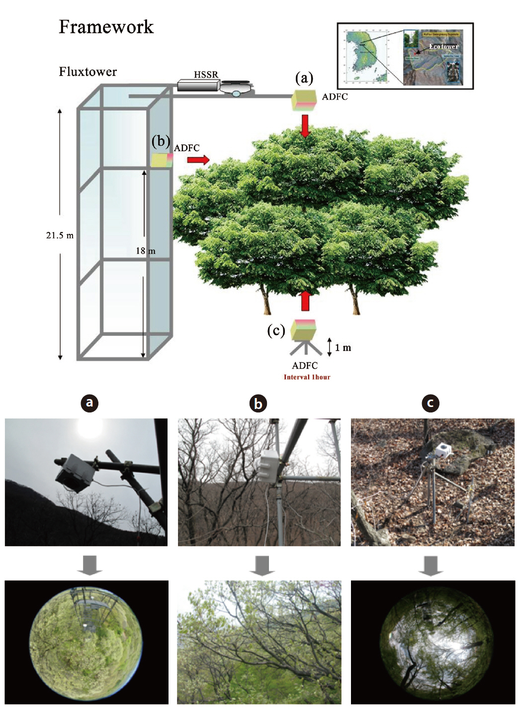 Framework of the PEN system at the GDK site. PEN system consist of downward ADFC (a) lateral ADFC (b) upward ADFC (c) and HSSR. PEN Phenological Eyes Network; GDK Gwangneung Deciduous KoFlux; ADFC automatic-capturing digital fisheye camera; HSSR hemi-spherical spectroradiometer.