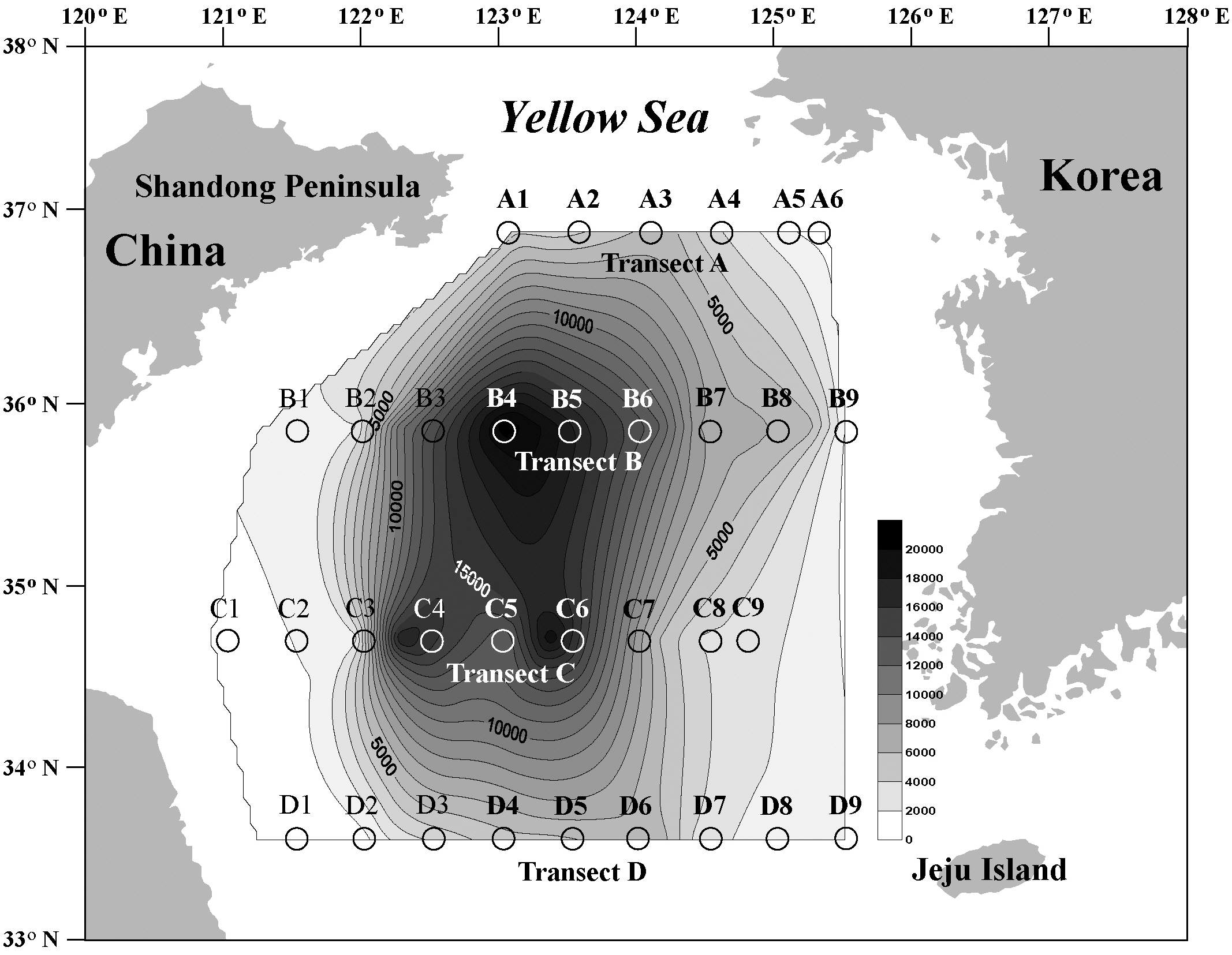 A contour map of the spatial distribution of all dinoflagellate cysts found in Yellow Sea surface sediments. Contour lines are increments of 1000 cells g-1 dry weight.