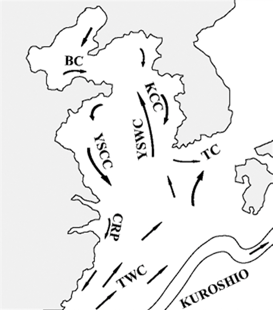 The circulation features in the Yellow Sea adopted from Su (1998). The features identified are the Bohai Coastal Current (BC) the Yellow Sea Coastal Current (YSCC) the Changjiang River Plume (CRP) the Taiwan Warm Current (TWC) the Tsushima Current (TC) the Yellow Sea Warm Current (YSWC) and the Korean Coastal Current (KCC).