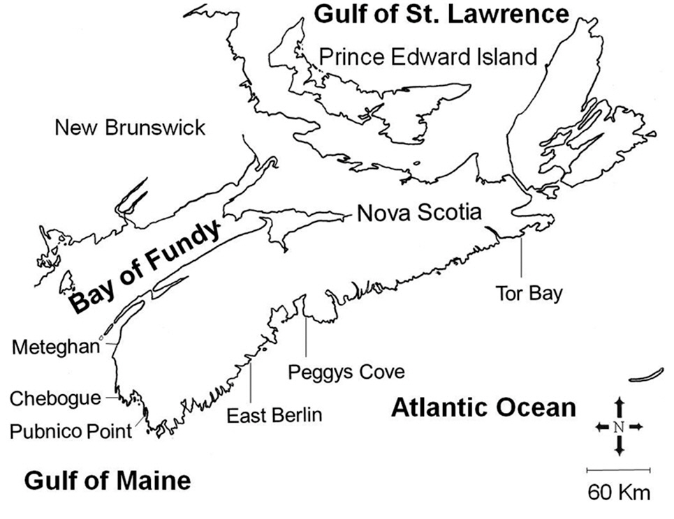 Map of Nova Scotia indicating the six study sites. The three southern-most sites are within the approaches of the Bay of Fundy
