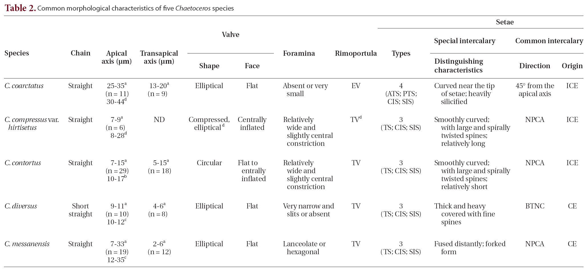 Common morphological characteristics of five Chaetoceros species