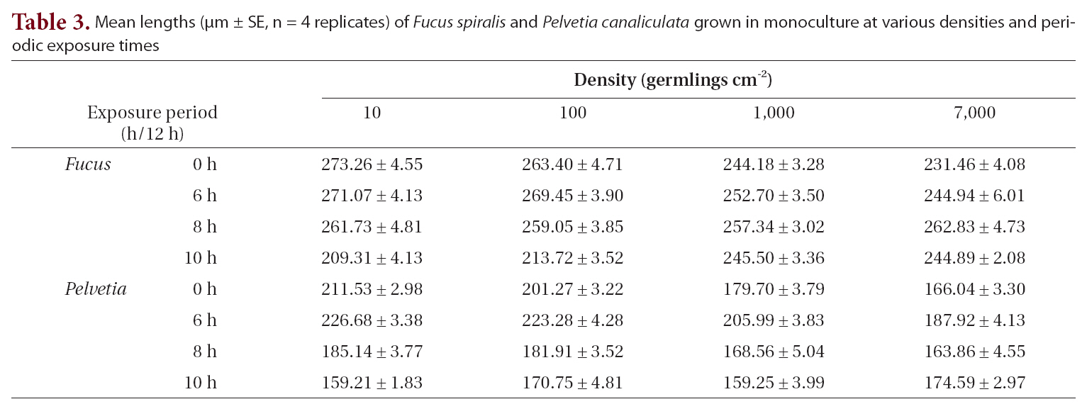 Mean lengths (μm ± SE n = 4 replicates) of Fucus spiralis and Pelvetia canaliculata grown in monoculture at various densities and periodic exposure times