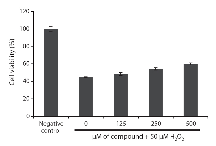 Protective effect of loliolide isolated from Sargassum coreanum on H2O2-induced oxidative cell damage. The cells were treated with loliolide at concentrations of 125 250 and 500 μM. After 1 h 1 mM H2O2 was added to the plate. After an incubation of 24 h cell viability was determined by MTT assay.