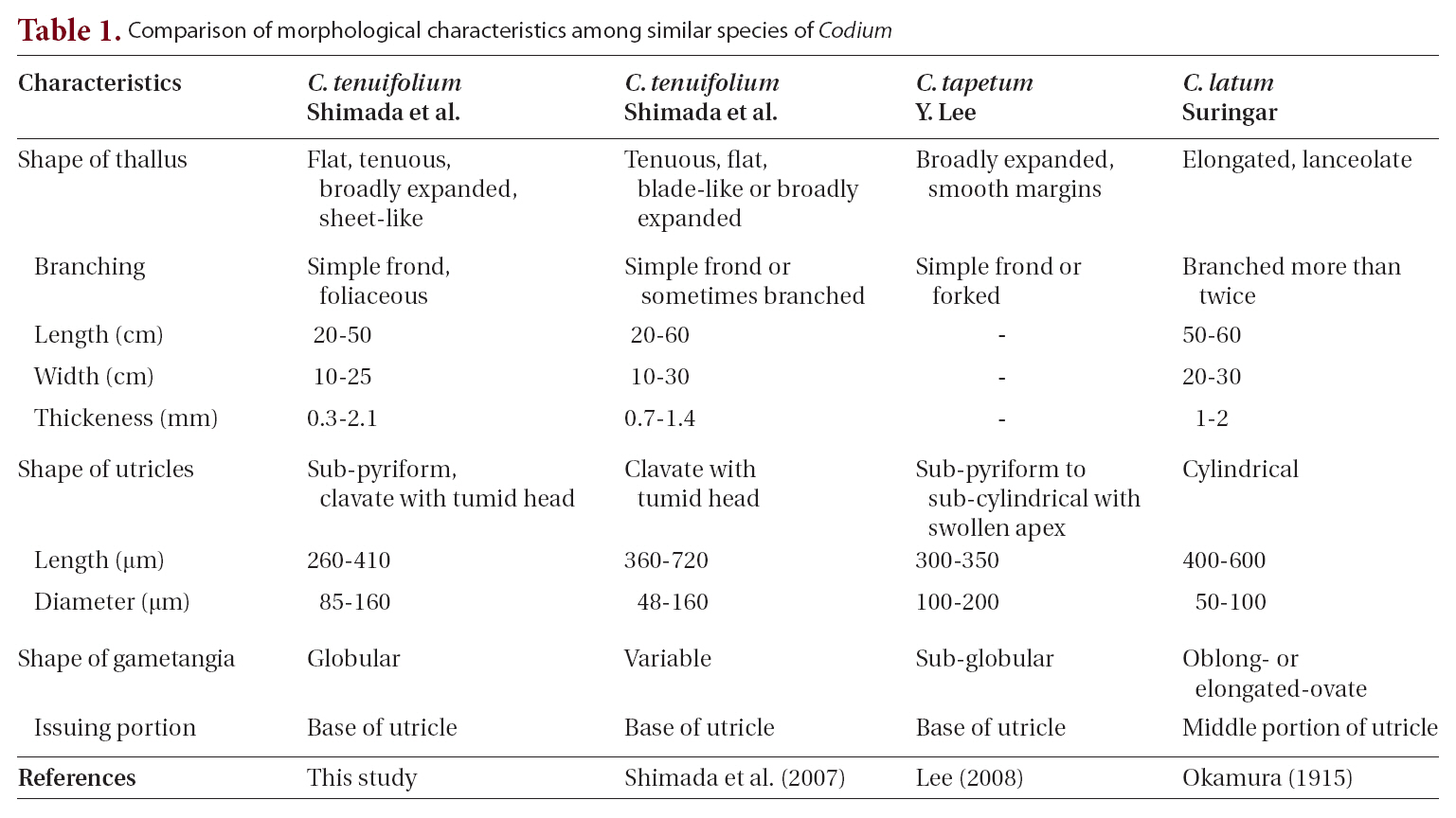Comparison of morphological characteristics among similar species of Codium