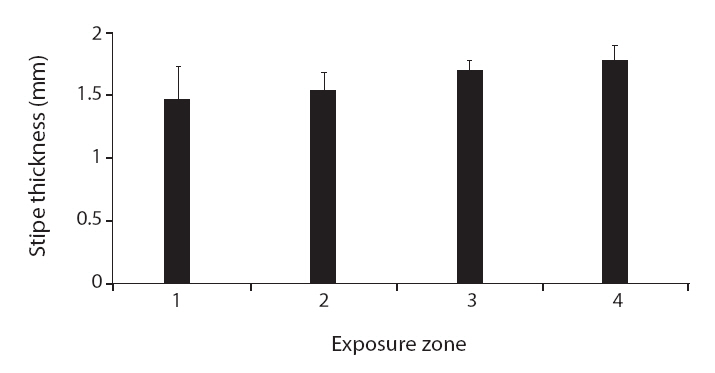 Variation in stipe thickness in Carpophyllum maschalocarpum between wave-exposure zones. Error bars indicate 95% confidence intervals.