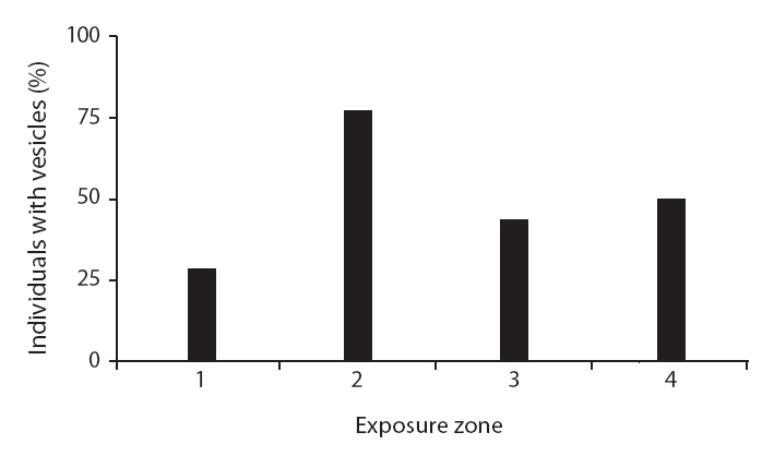 The variation in vesicle presence in Carpophyllum maschalocarpum between wave-exposure zones. Error bars indicate 95% confidence intervals.
