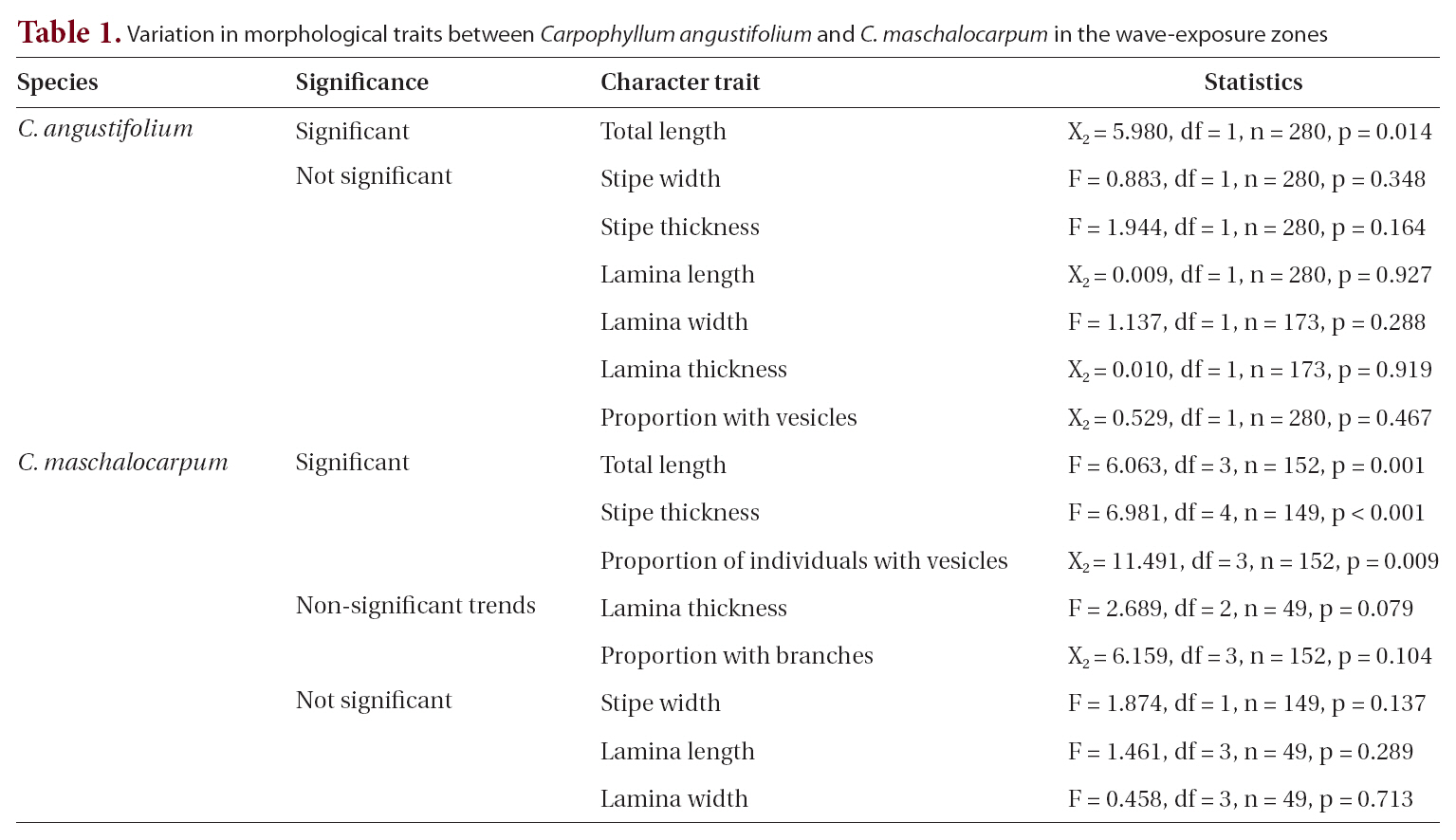 Variation in morphological traits between Carpophyllum angustifolium and C. maschalocarpum in the wave-exposure zones