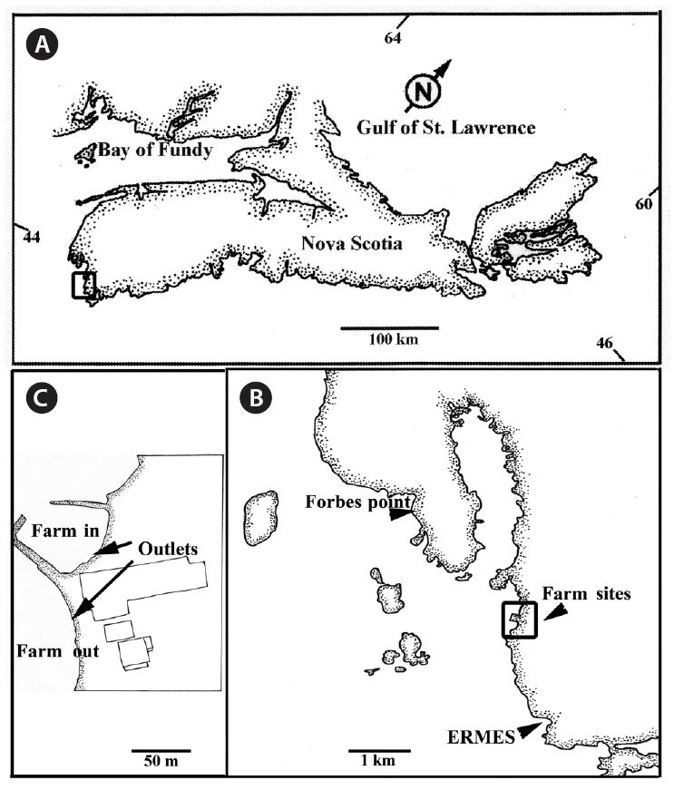 Map of Nova Scotia (A) with boxed area shown enlarged in (B) showing the portion of southwestern Nova Scotia with sample sites with boxed area shown enlarged in (C) to give details of the farm sites. Arrows in B indicate collection sites. C indicates position of farm in and farm out as well as locations of effluent outlets. ERMES Evelyn Richardson Memorial Elementary School.
