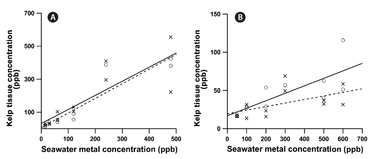 Relationships among concentrations of Cu (A) and Zn (B) in seawater and in meristematic tissues of Macrocystis pyrifra following three days’ exposure in the aquaria. For each graph the two lines represent the relationships where we added only the metal of interest to the seawater (× symbol solid lines) and where we also added the second metal (○ symbol dashed lines).