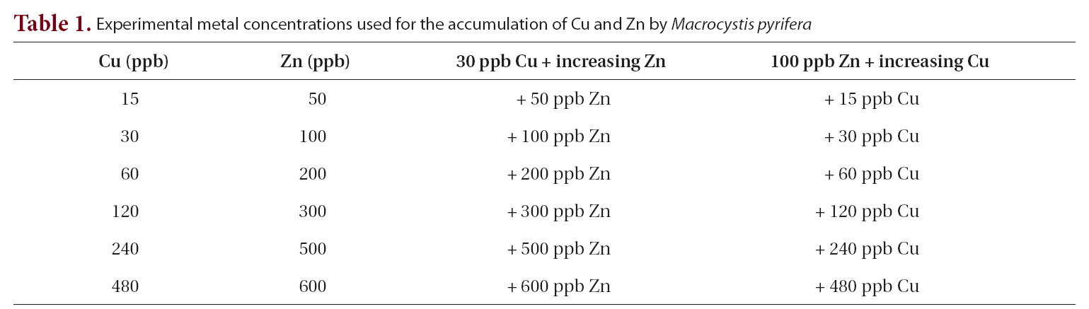 Experimental metal concentrations used for the accumulation of Cu and Zn by Macrocystis pyrifera