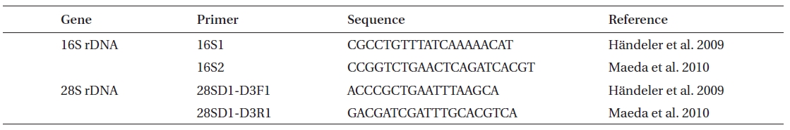 Oligonucleotide primers used for amplification of 16S and 28S rDNA