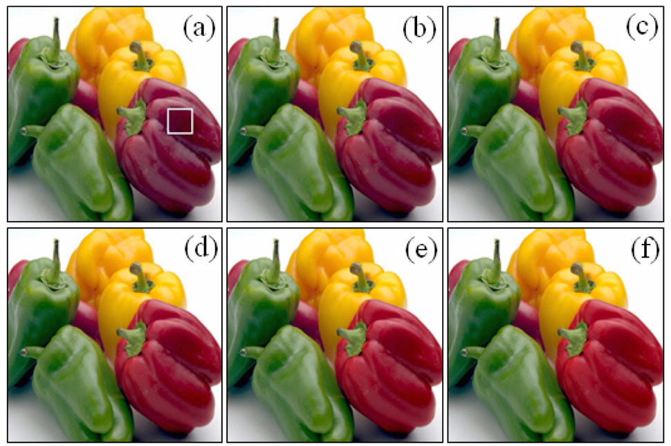 256×256 color images for the discrimination of thecolor when their saturation changes ; (a) reference (b) sample3 (c) sample 4 (d) sample 5 (e) sample 6 (f) sample 7.