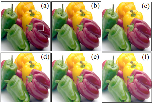 256×256 color images for the discrimination of thecolor when their brightness changes ; (a) sample 8 (b) sample9 (c) sample10 (d) sample 11 (e) sample 12 (f) sample 13.