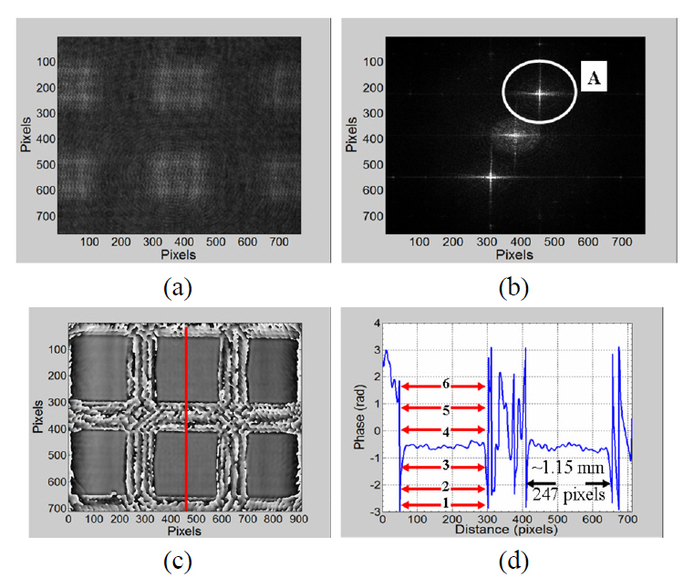 Measurement based on phase reconstruction. (a)Off-axis hologram. (b) Fourier transformed spatial frequencydomain data. (c) Steep abruption phase map. (d) Line profilealong 450 pixels in the y-direction of (c).
